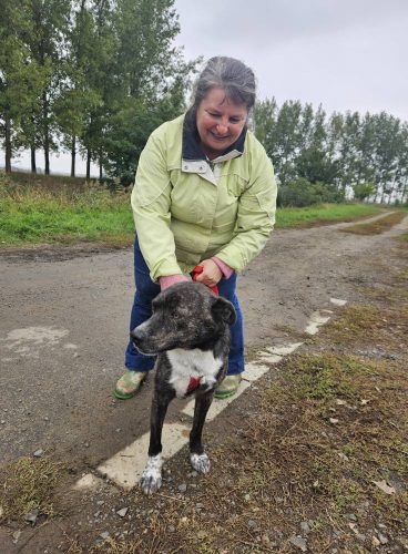 560136131 1146421797583612 7400066551700369243 n