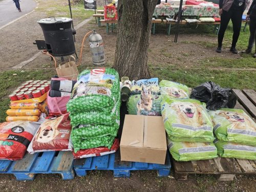 560262238 1146424110916714 3321537205140260067 n