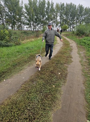 561054104 1146421344250324 4358412681639508835 n