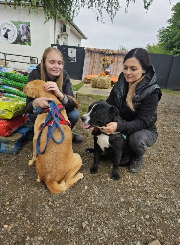 561295811 1146422450916880 5255791363942210053 n