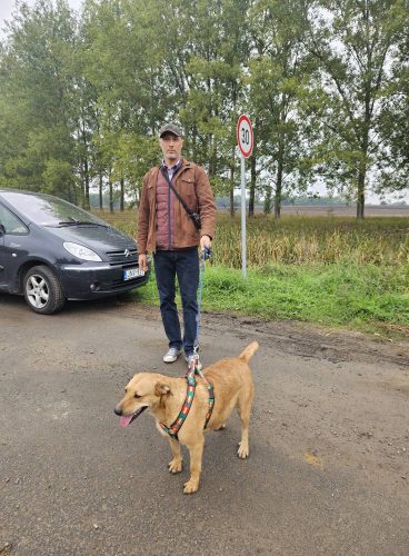 561303031 1146421664250292 1386908241184427824 n